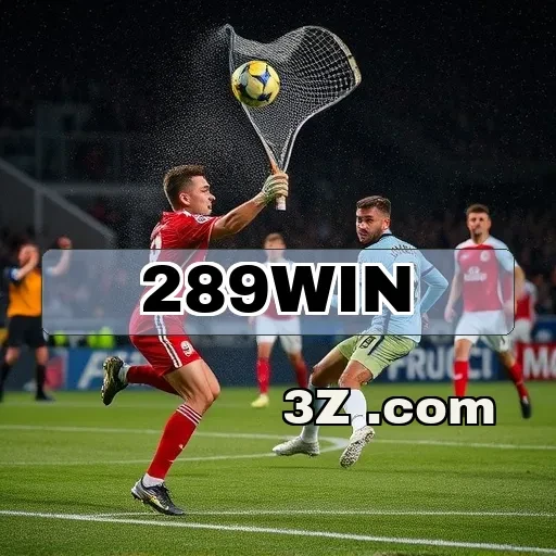 Descubra os Termos do 289.win e Jogue com Segurança